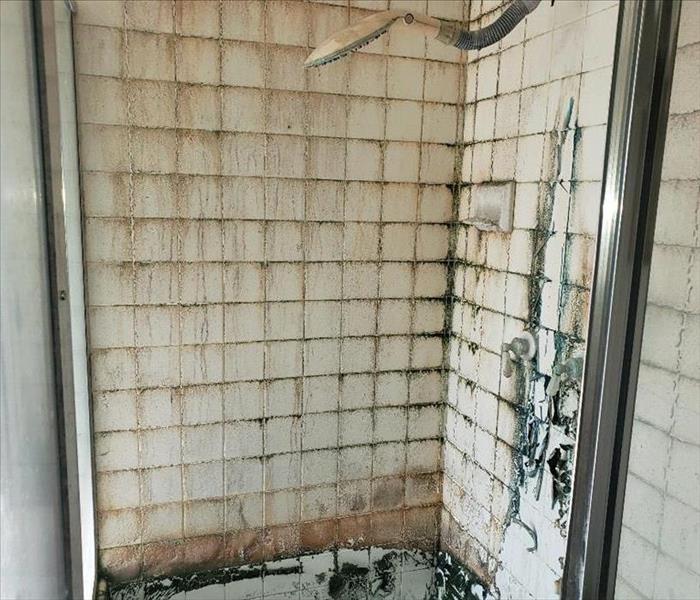 A restroom shower filled with mold and looks very dirty.